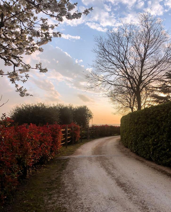 B&B Cascina Mattarelle Monzambano Buitenkant foto