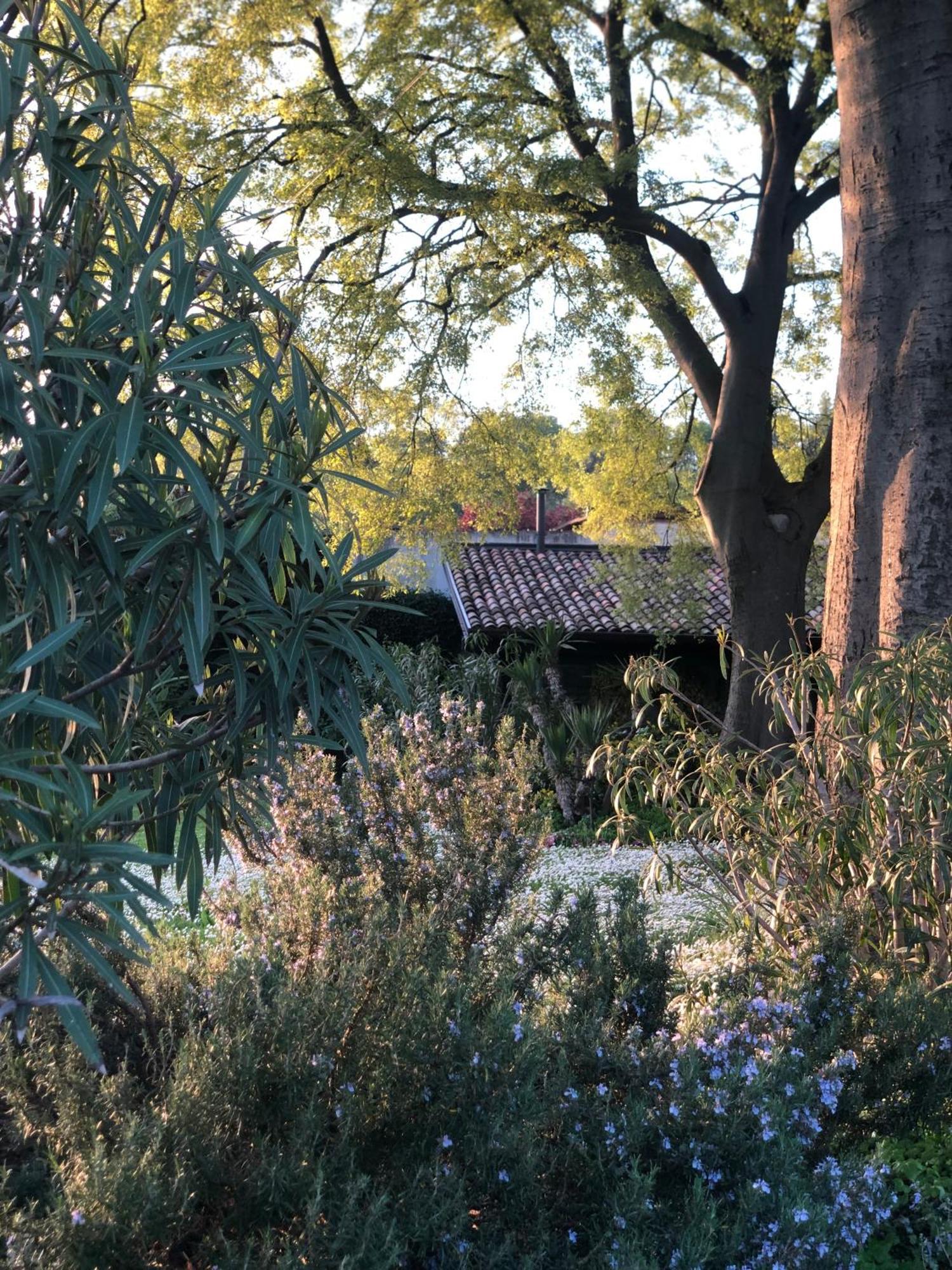 B&B Cascina Mattarelle Monzambano Buitenkant foto